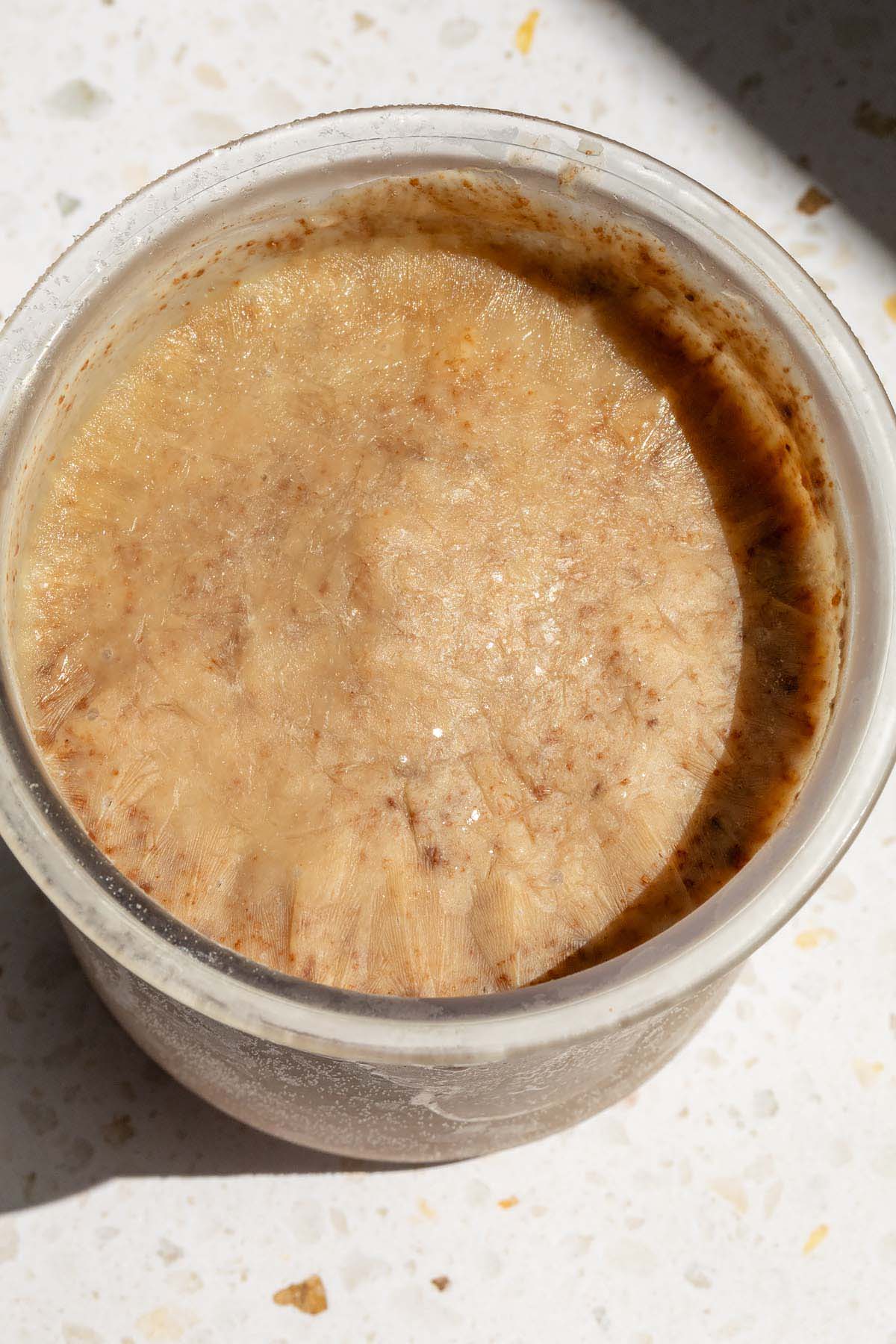 Frozen chocolate yogurt in Ninja Creami pint