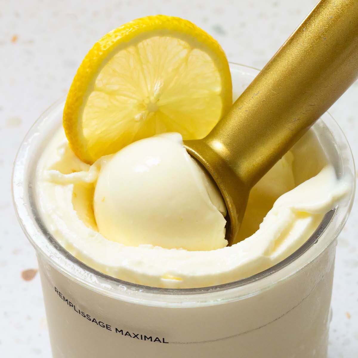 monkyです。Lemoni & Viva! Cooking 24 セット monkyです。Lemoni