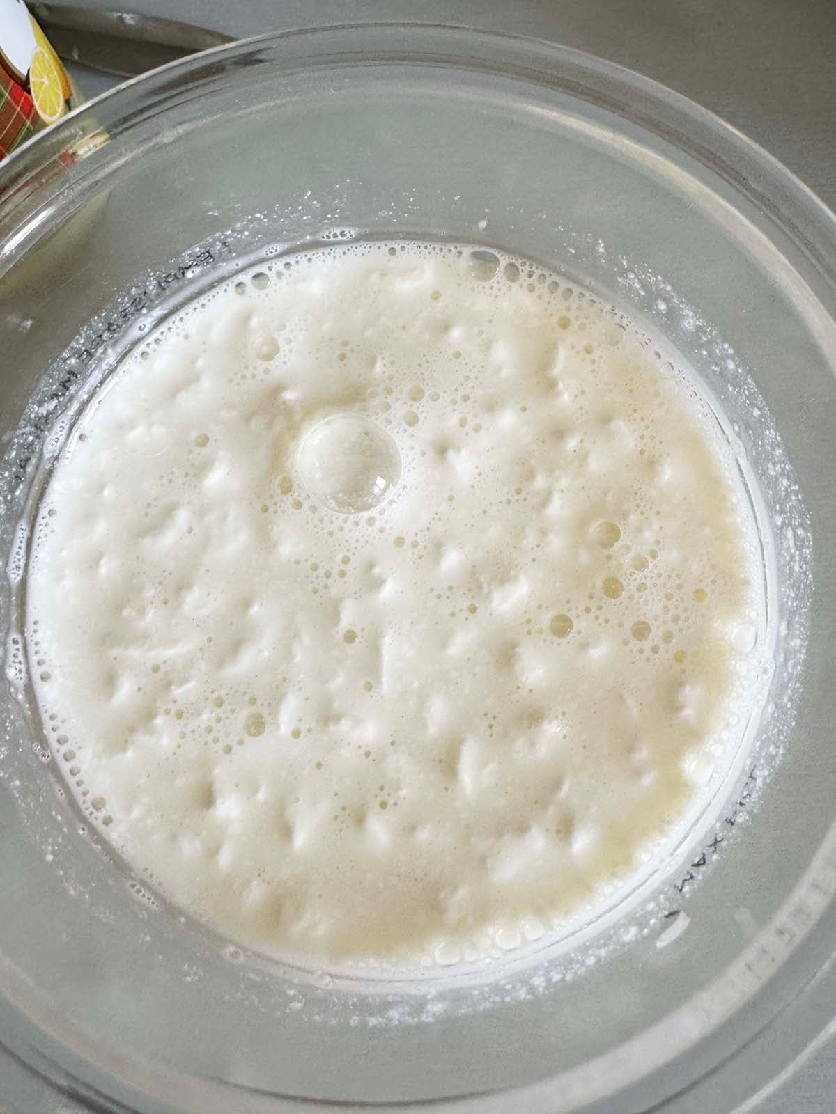 Ninja Creami ingredients mixed together