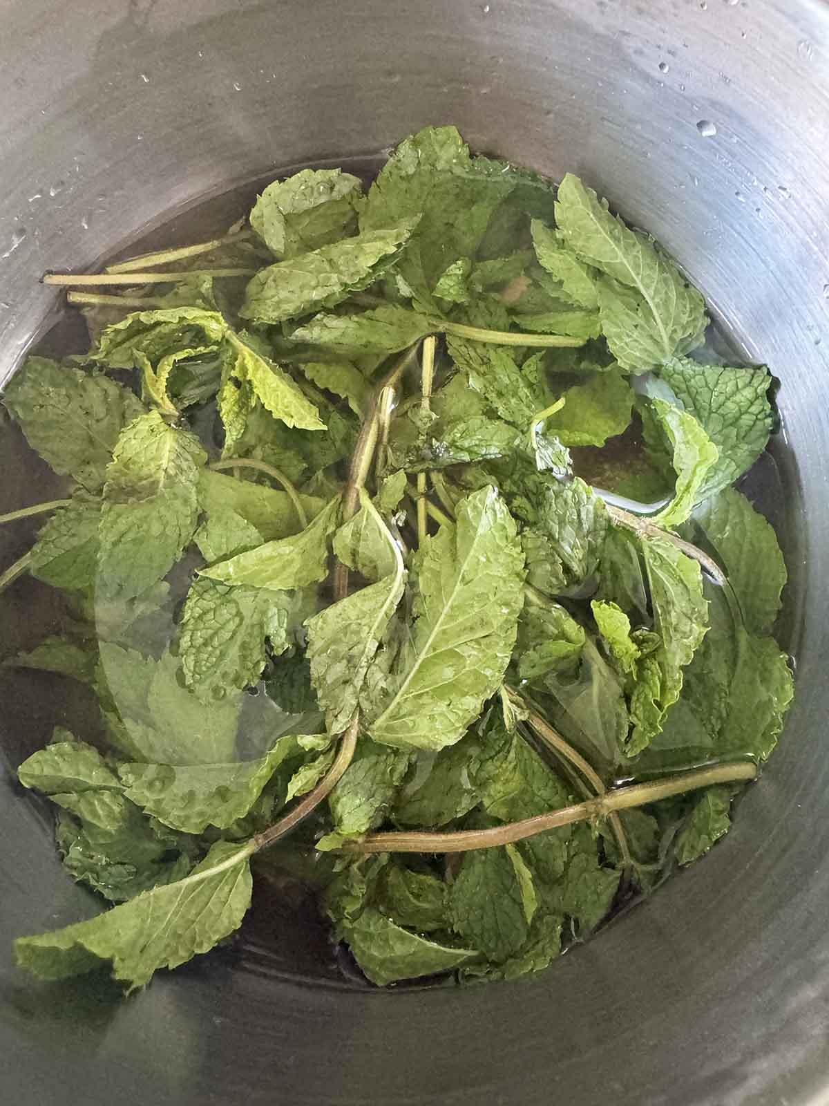 Adding fresh mint leaves to pot