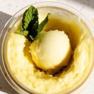Ninja Creami Moroccan Mint Tea Sorbet