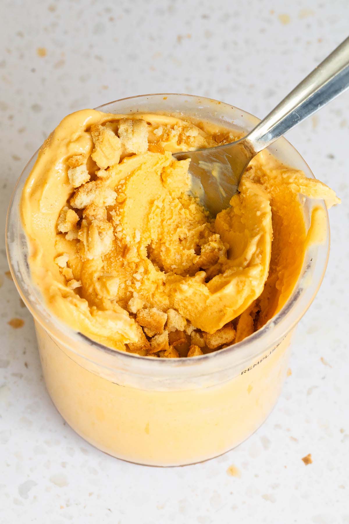 Ninja Creami pumpkin protein ice cream